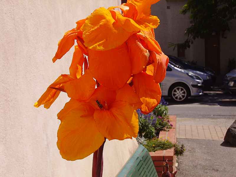 Aouste sur Sye an der Drôme