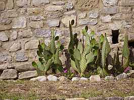 Vieux Mirabel (Drme)