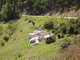 Von Saillans nach Süden Von Saillans nach Süden