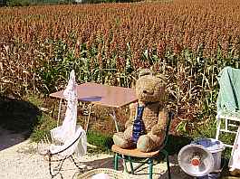 Flohmarkt bei Lambres