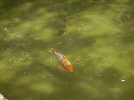 Im Park der "Rocher des Domes" Im Park der "Rocher des Domes"