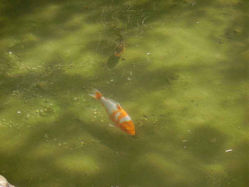 Avignon: Im Park der "Rocher des Domes"