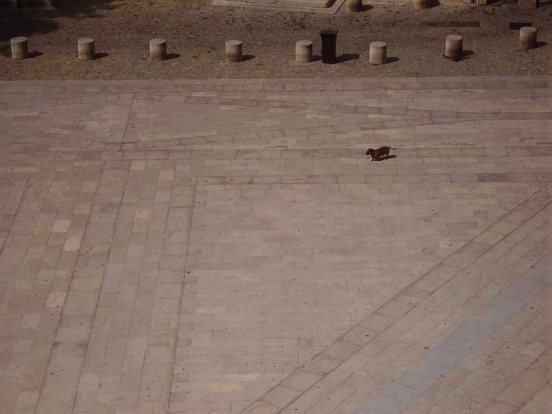 Avignon Palais des Papes