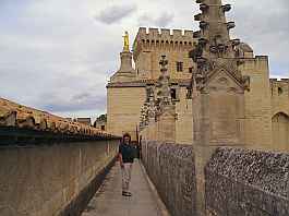Avignon Palais des Papes