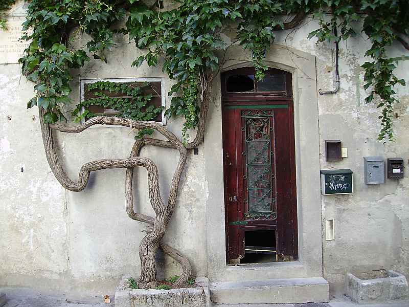 Saint-R&eacute;my-de-Provence