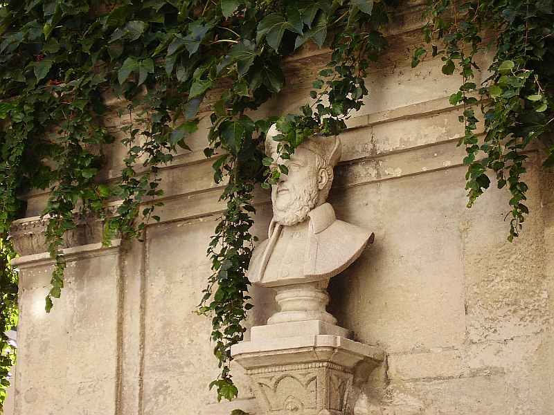 Saint-R&eacute;my-de-Provence