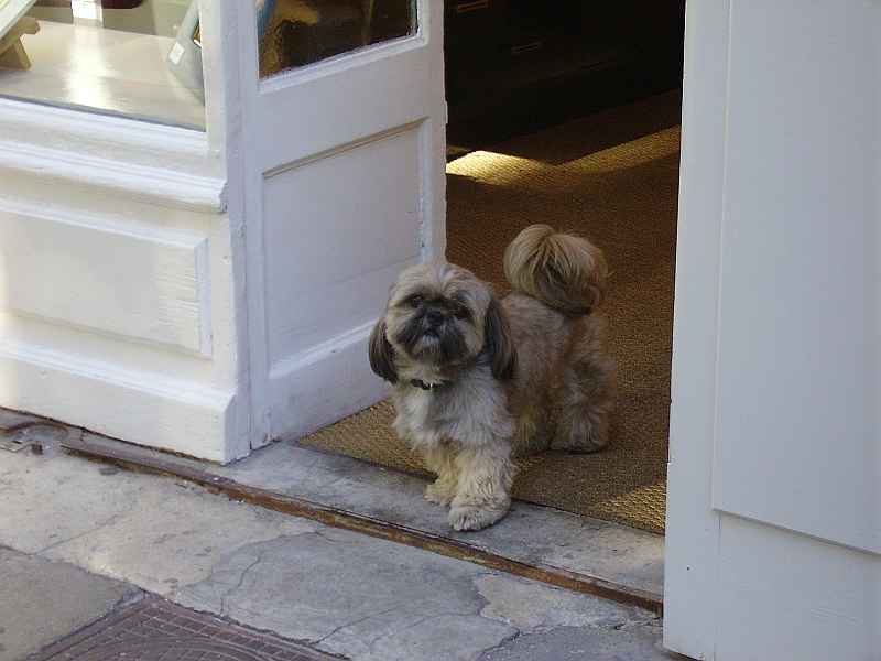 Saint-R&eacute;my-de-Provence
