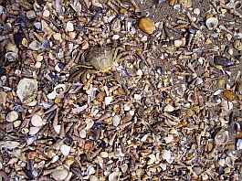 Saintes-Maries-de-la-Mer