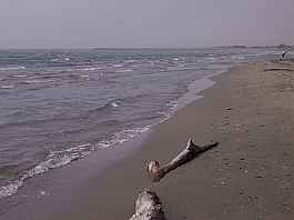 Saintes-Maries-de-la-Mer