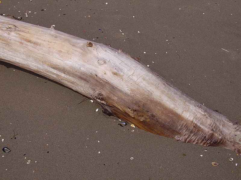 Saintes-Maries-de-la-Mer