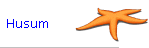 Husum