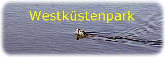 Seitenbanner
