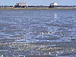 Nordseestrand bei St. Peter-Ording